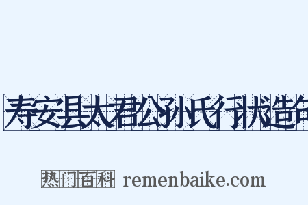 寿安县太君公孙氏行状造句是什么意思的图片